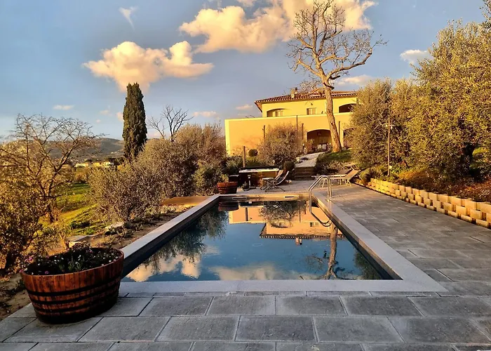 The Olive Grove In Tuscany