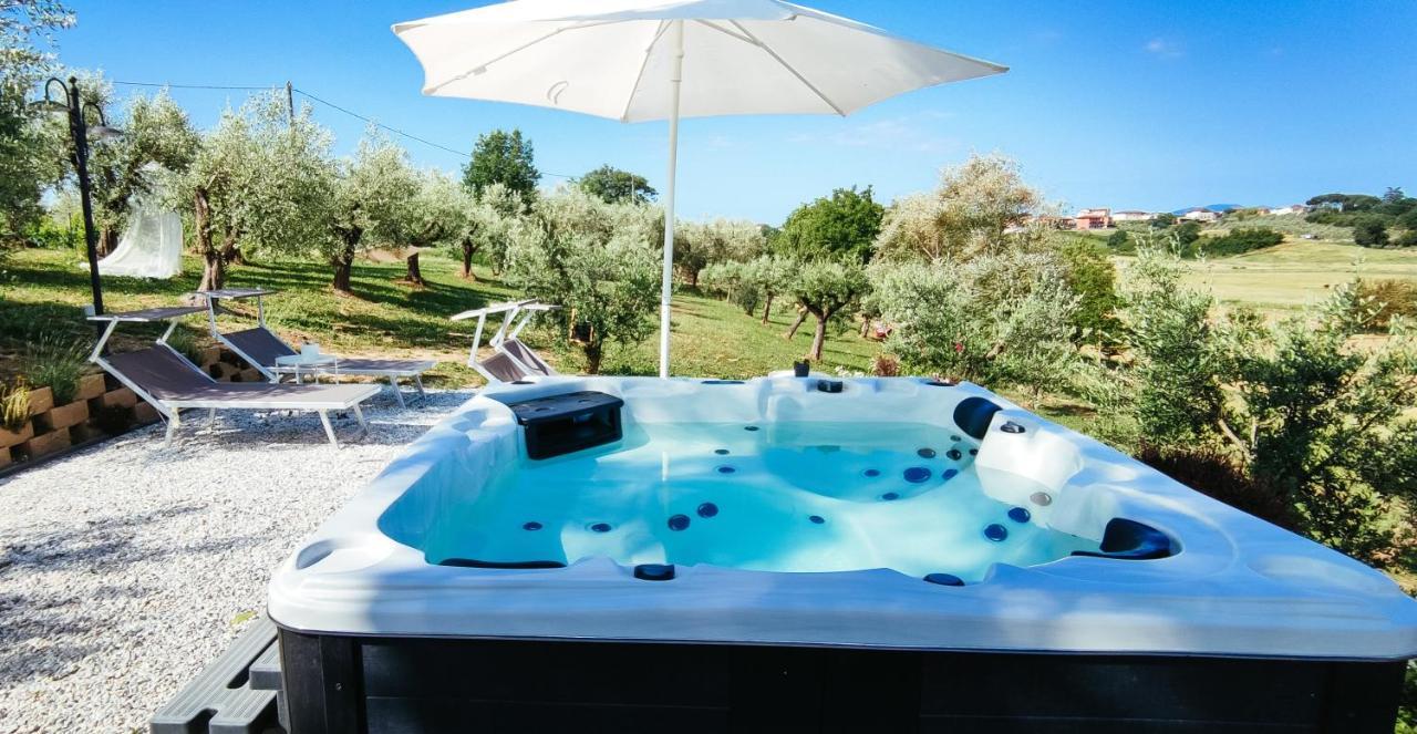 The Olive Grove In Tuscany Holiday home Toiano