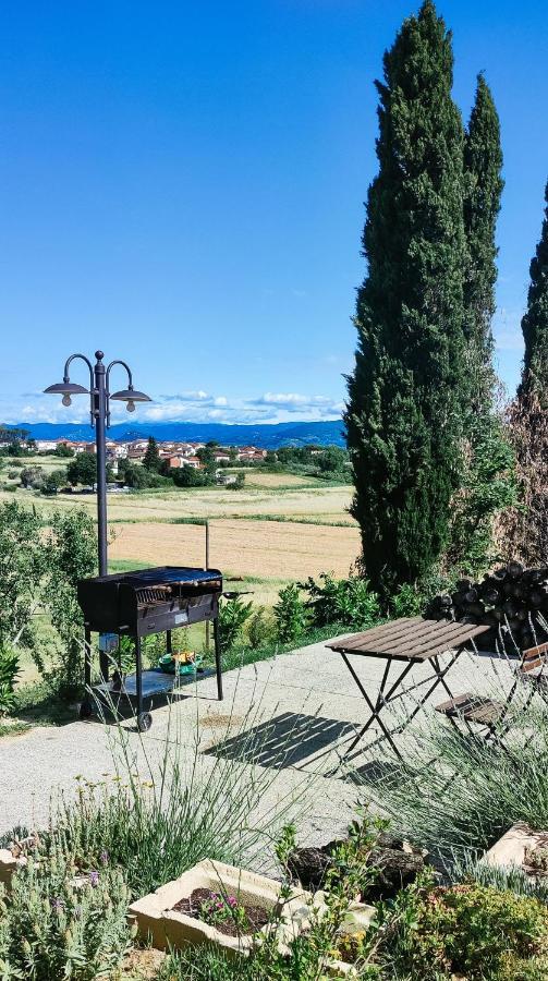 The Olive Grove In Tuscany *